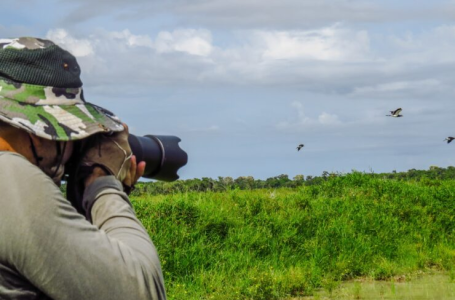 El Parque del Bicentenario, lugar privilegiado para la observación de aves