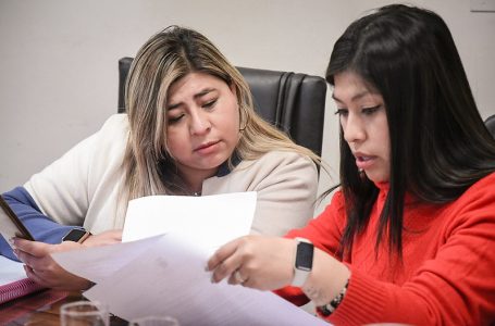 Ediles proponen una nueva redacción a la norma referida a la lactancia materna