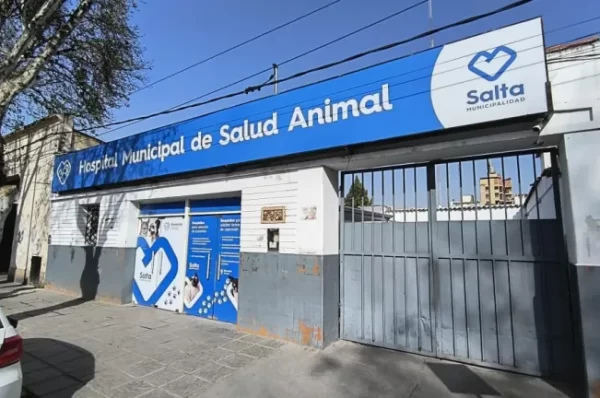 No se registraron atenciones por pirotecnia en el Hospital de Salud Animal durante Navidad