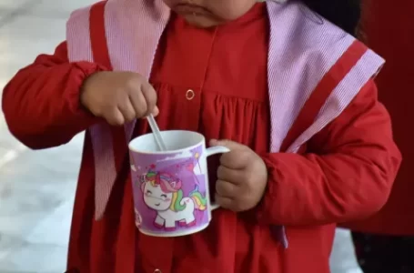 Más de 85.000 chicos de la primaria recibirán la Copa de Leche