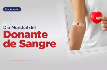 La donación voluntaria de sangre salva millones de vidas en el mundo Ministerio de Salud Pública Noticias de Salta Salud 13/06/2026 10:44