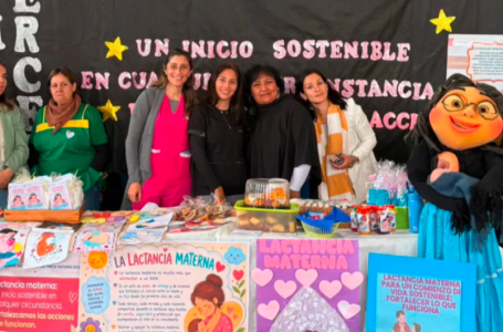 Salta lanzó la Semana Mundial de la Lactancia Materna con foco en el trabajo comunitario
