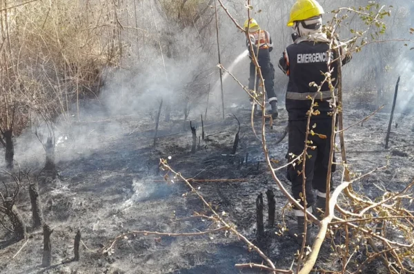 ¡Atención! Rige un alerta por incendios forestales en la ciudad
