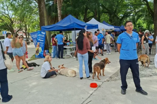“La Muni Animal” llega a Tres Cerritos con servicios gratuitos