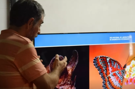 Acercando Ciencia 2026: la investigación llega a las aulas salteñas