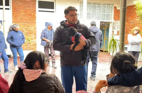 Personas con discapacidad participaron de una jornada sobre bienestar animal